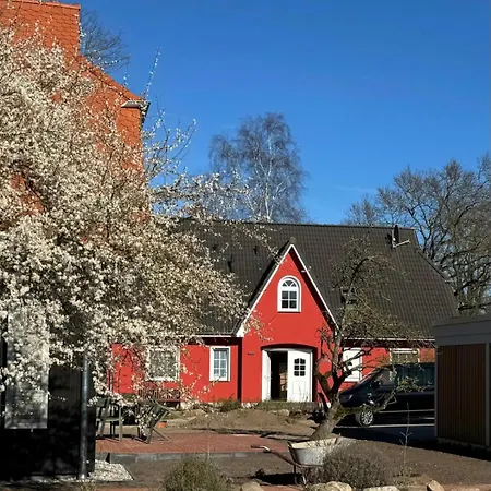 Kapitaenshaus Scharmberg, Ferienwohnung Moewe Born Exterior photo